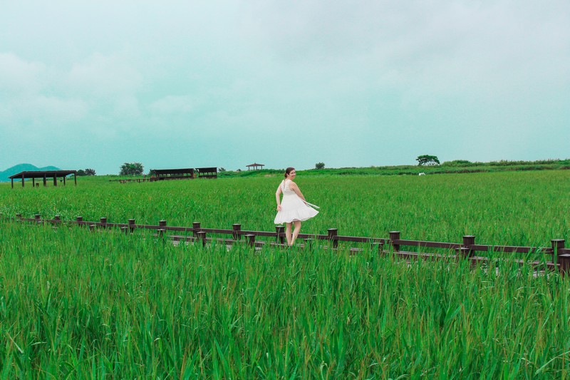 Suncheon Bay Wetland Reserve (순천만습지 or 순천만자연생태공원), Suncheon, Jeollanam-do, Korea