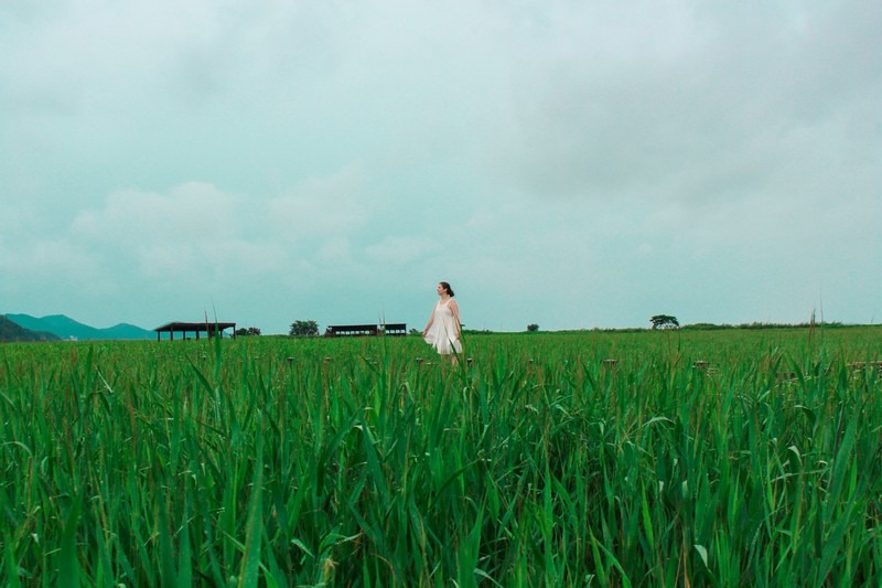 Suncheon Bay Wetland Reserve (순천만습지 or 순천만자연생태공원), Suncheon, Jeollanam-do, Korea