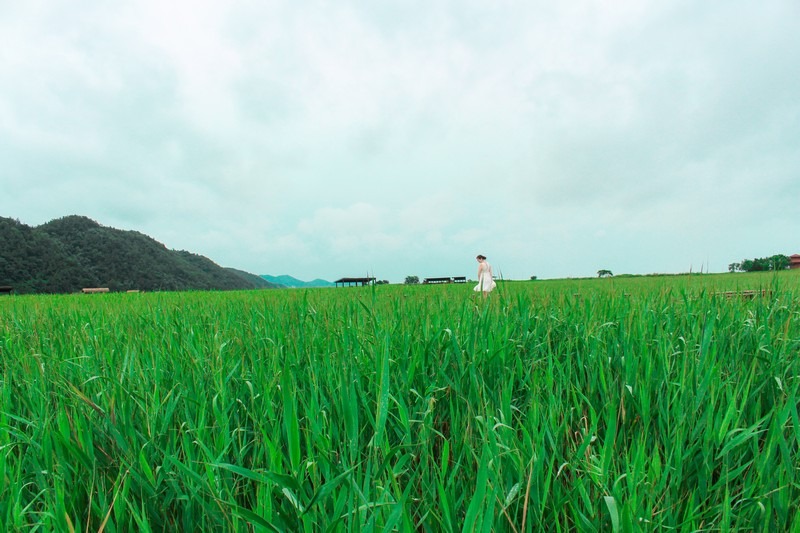 Suncheon Bay Wetland Reserve (순천만습지 or 순천만자연생태공원), Suncheon, Jeollanam-do, Korea