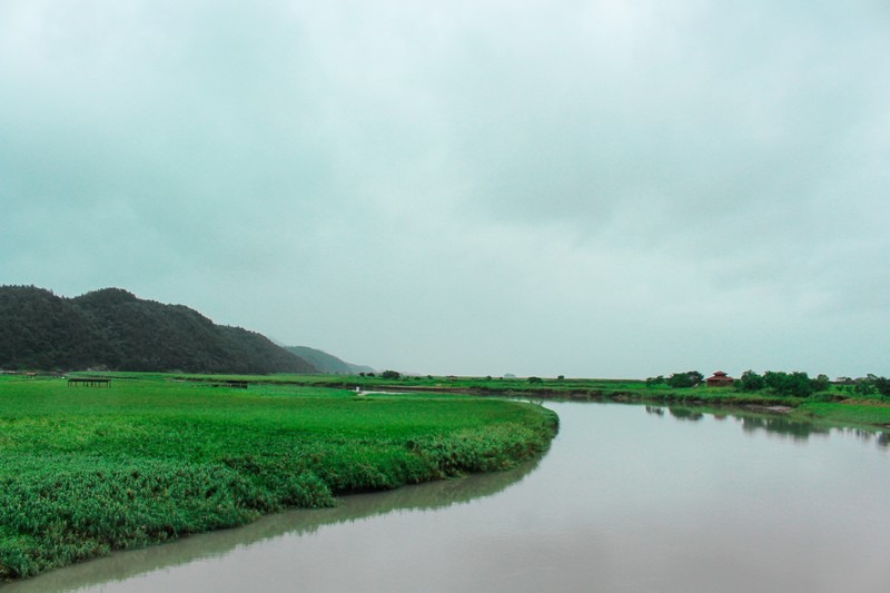 Suncheon Bay Wetland Reserve (순천만습지 or 순천만자연생태공원), Suncheon, Jeollanam-do, Korea