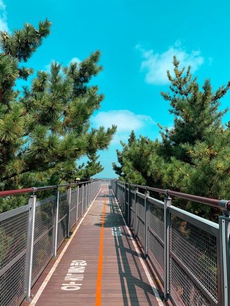 Janghang Skywalk (장항스카이워크), Seocheon-gun, Chungcheongnam-do, Korea