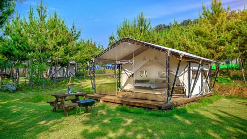 Seocheon Pine Tree Glamping, Seocheon-gun, Korea