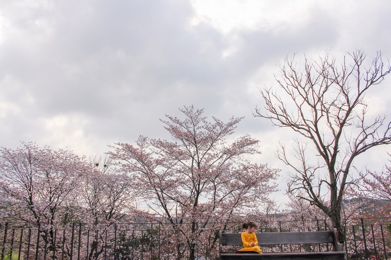 Ami Art Museum, Dangjin, Chungcheongnam-do