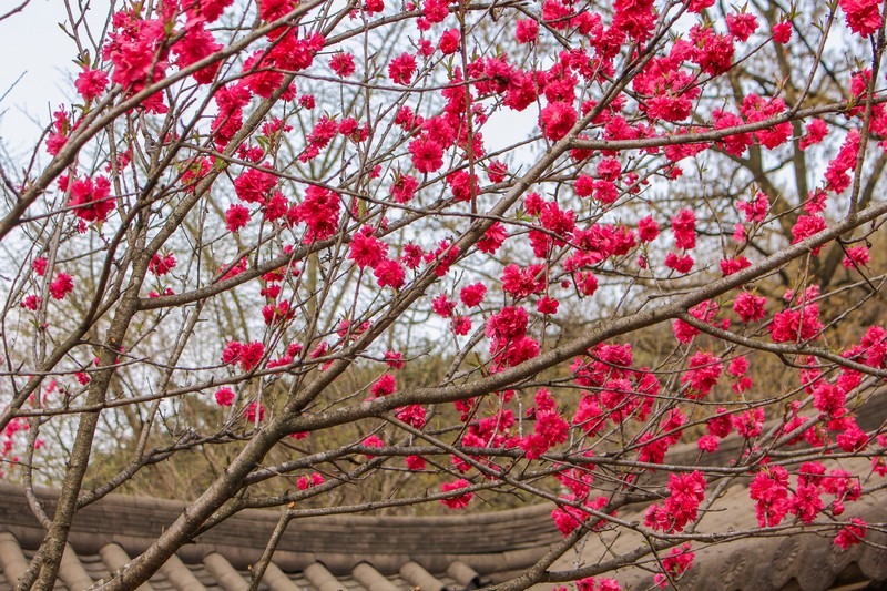 Ami Art Museum, Dangjin, Chungcheongnam-do