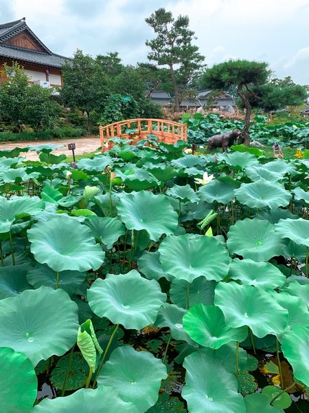 Gongju Hanok Village, Gongju, Chuncheongnam-do, Korea