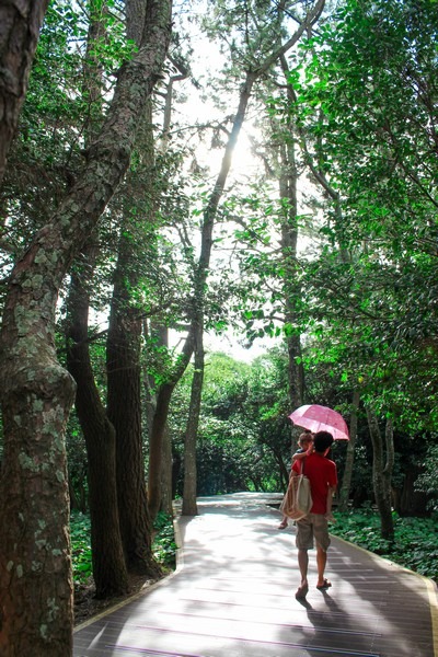 Odongdo Island (오동도), Yeosu, Jeollanam-do, Korea