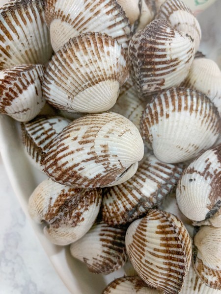 Cockles (꼬막)