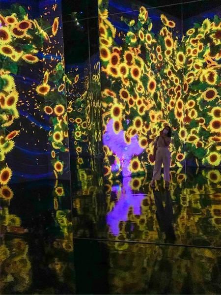 teamLab: Life, Seoul, Korea: Flowers and People Cannot Be Controlled But Live Together, Transcending Boundaries, A Whole Year Per Hour