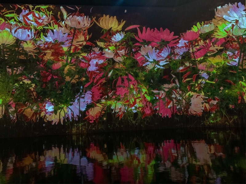 teamLab: Life, Seoul, Korea: Proliferating Immense Life