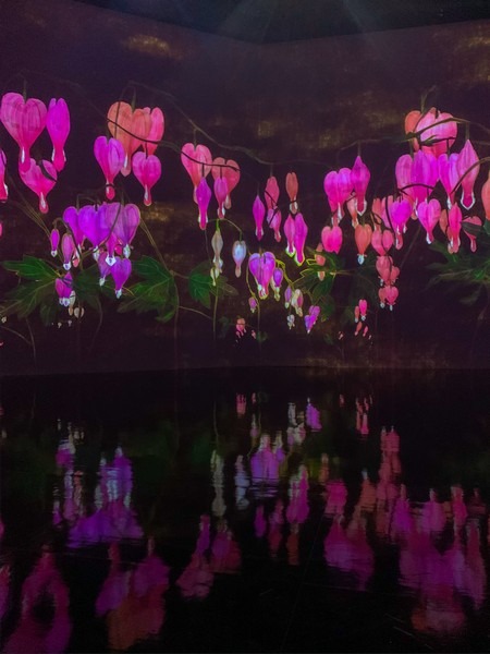 teamLab: Life, Seoul, Korea: Proliferating Immense Life