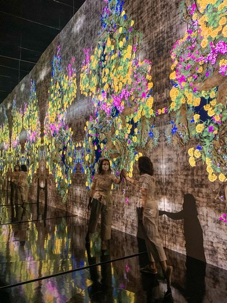 teamLab: Life, Seoul, Korea: Continuous Life and Death at the Crossover of Eternity