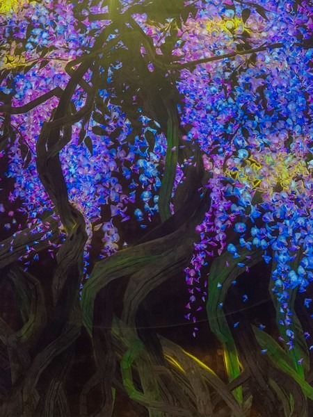 teamLab: Life, Seoul, Korea: Proliferating Immense Life