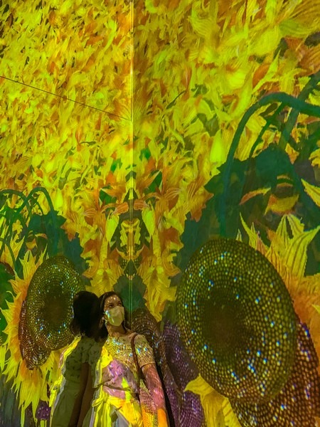 teamLab: Life, Seoul, Korea: Proliferating Immense Life