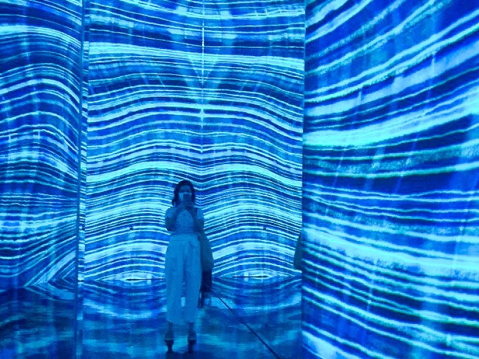 teamLab: Life, Seoul, Korea: Beating Earth