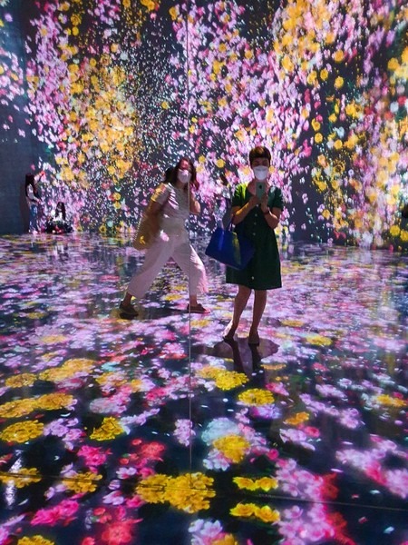 teamLab: Life, Seoul, Korea: Flowers and People Cannot Be Controlled But Live Together, Transcending Boundaries, A Whole Year Per Hour