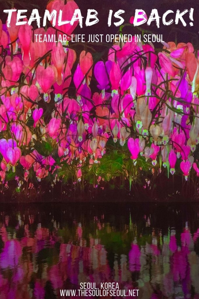 Teamlab Is Finally Back In Seoul With teamlab:LIFE! teamLab is BACK in Seoul after a hiatus with teamLab: Life at Dongdaemun Design Plaza. The exhibition is only on until April so don't miss this beautiful art and nature installation while it's on.