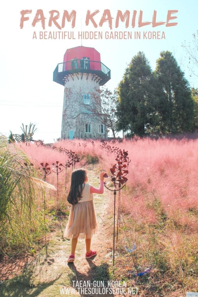 Farm Kamille: A Beautiful Garden In Taean-gun: Farm Kamille is a beautiful garden in Taean-gun, Korea. This KTO Wellness destination in Chunghceongbuk-do has flowers, herbs, and more.