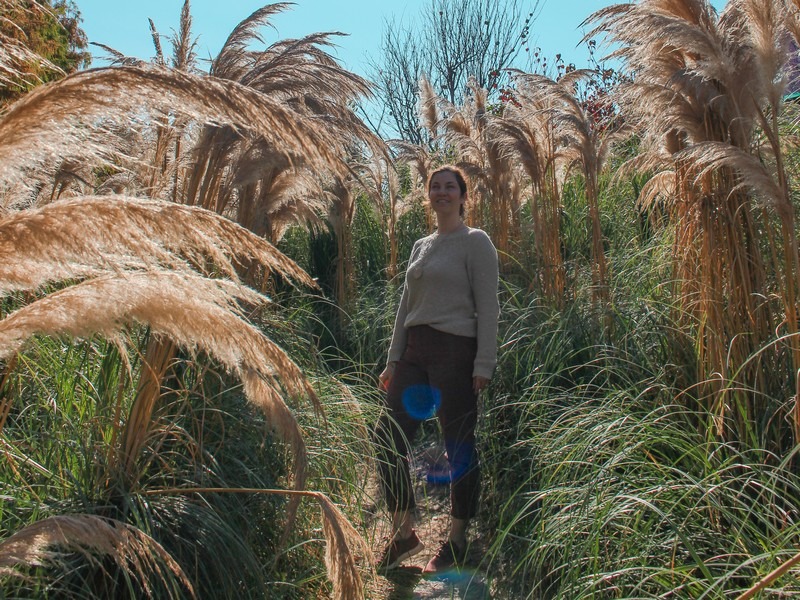 Farm Kamille, Taean-gun, Chungcheongnam-do, Korea