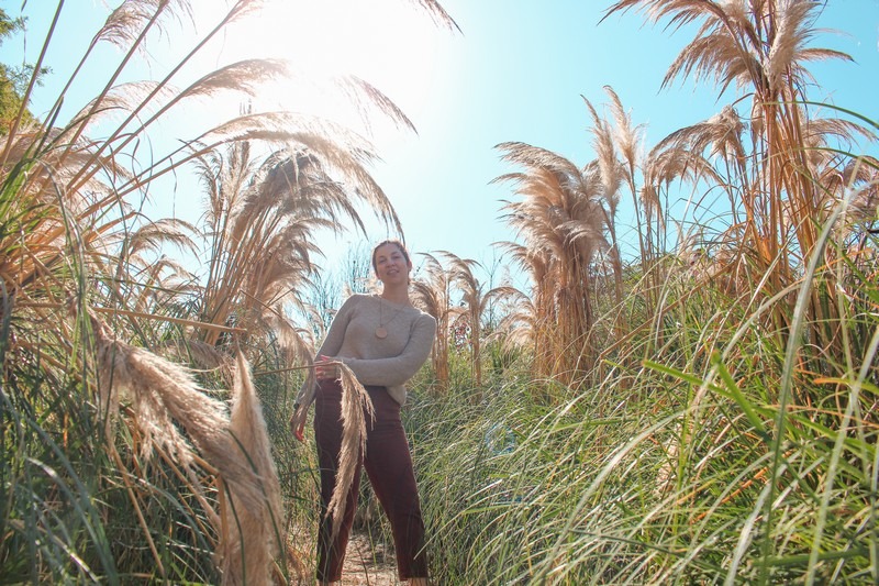 Farm Kamille, Taean-gun, Chungcheongnam-do, Korea