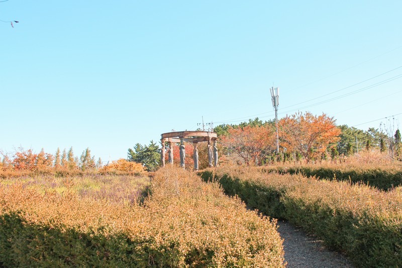 Farm Kamille, Taean-gun, Chungcheongnam-do, Korea