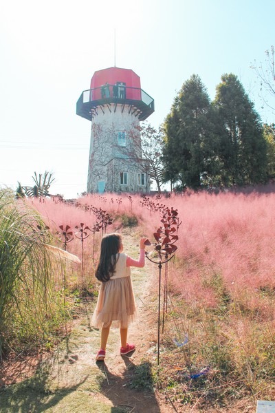 Farm Kamille, Taean-gun, Chungcheongnam-do, Korea