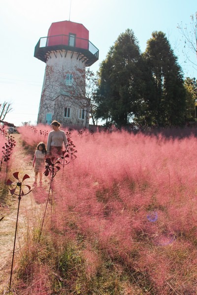 Farm Kamille, Taean-gun, Chungcheongnam-do, Korea