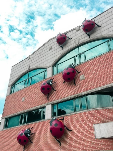 Bucheon EcoPark (부천자연생태공원), Bucheon, Korea