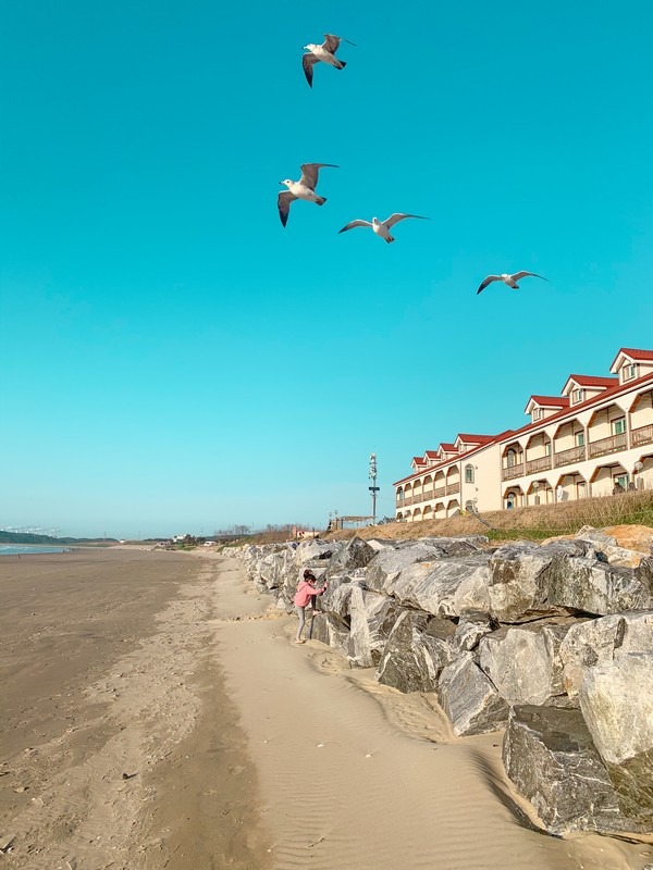 Sinduri Beach & Sand Dunes, Taean, Korea