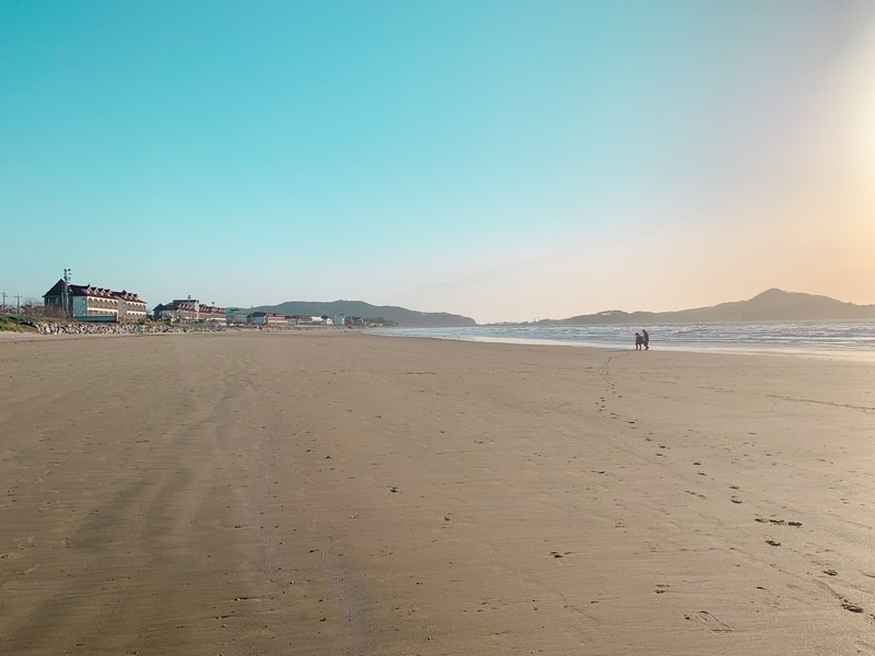 Sinduri Beach & Sand Dunes, Taean, Korea