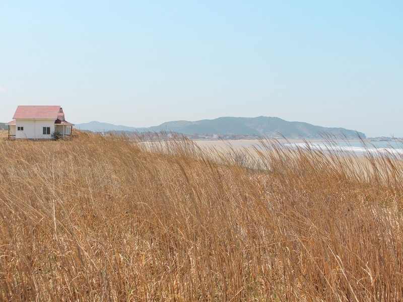 Sinduri Beach & Sand Dunes, Taean, Korea