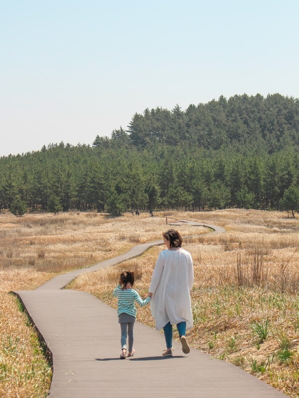 Sinduri Beach & Sand Dunes, Taean, Korea