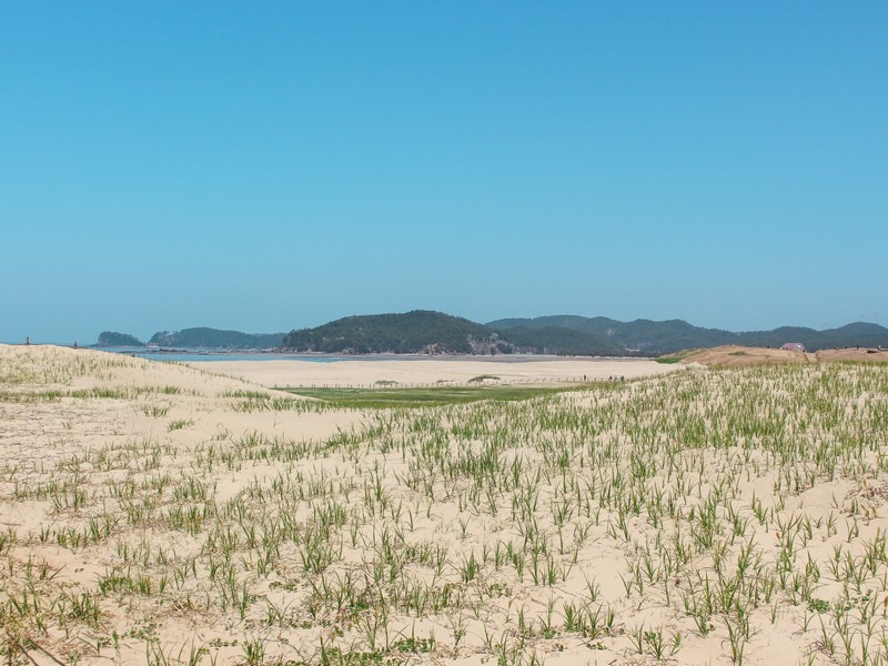 Sinduri Beach & Sand Dunes, Taean, Korea