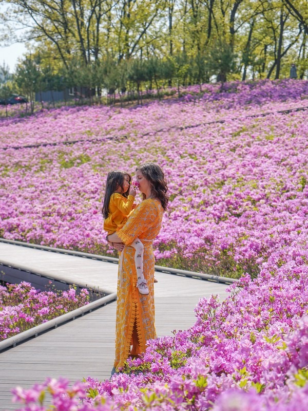 Buramsan Butterfly Garden, Seoul, Korea: Hallie Bradley and daughter with azaleas.