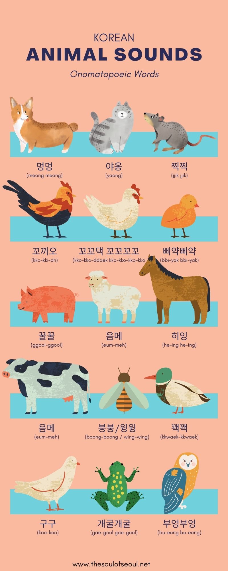 Onomatopoeia Words In Korean: Animal Sounds In Korean