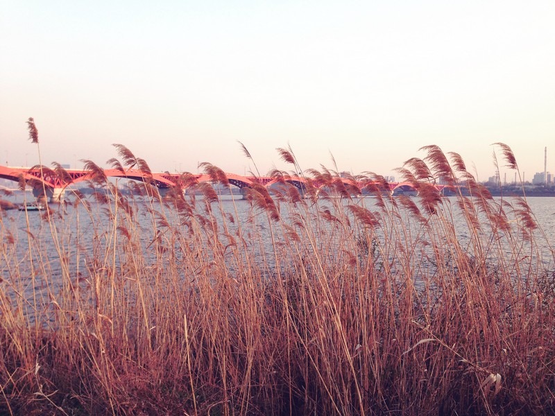 Nanji Han River Park, Sunset, Seoul, Korea