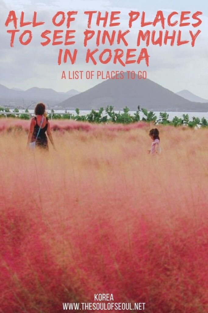 A Long List Of Places To See Pink Muhly In Korea In The Fall