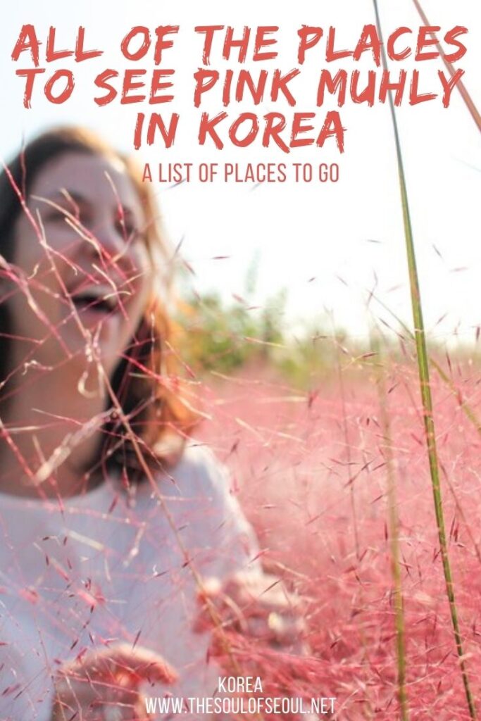 A Long List Of Places To See Pink Muhly In Korea In The Fall