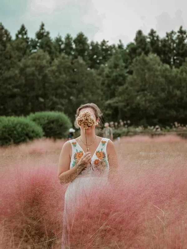 Cafe Glencoe (카페 글렌코), Jeju Island, Korea; pink muhly