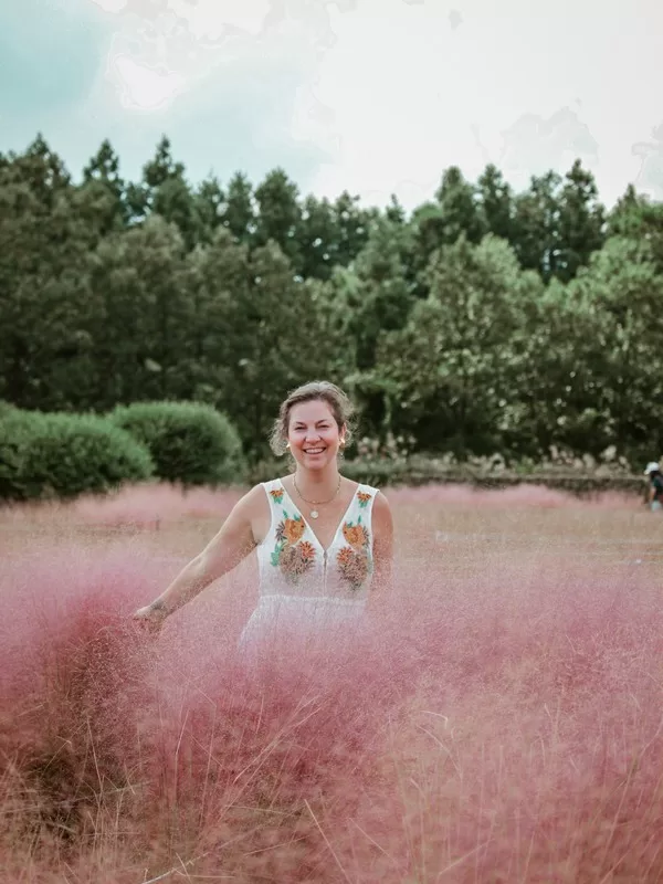 Cafe Glencoe (카페 글렌코), Jeju Island, Korea; pink muhly