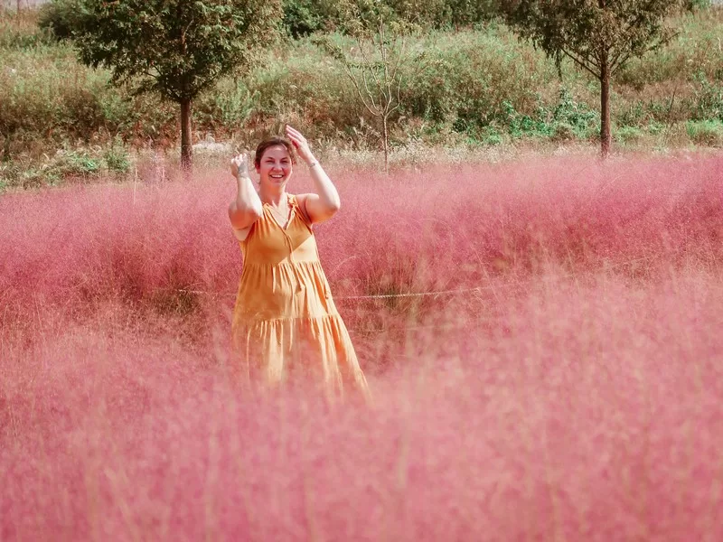 Hapcheon Shin Soyang Sports Park (합천신소양체육공원), Hapcheon, Korea; pink muhly