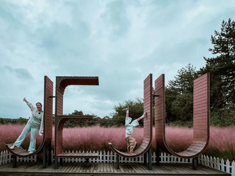 Hueree Park (휴애리자연생활공원), Jeju, Korea; Jeju sign, pink muhly