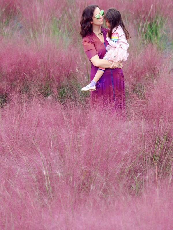 Pink Muhly, Nari Park, Yangju, Korea