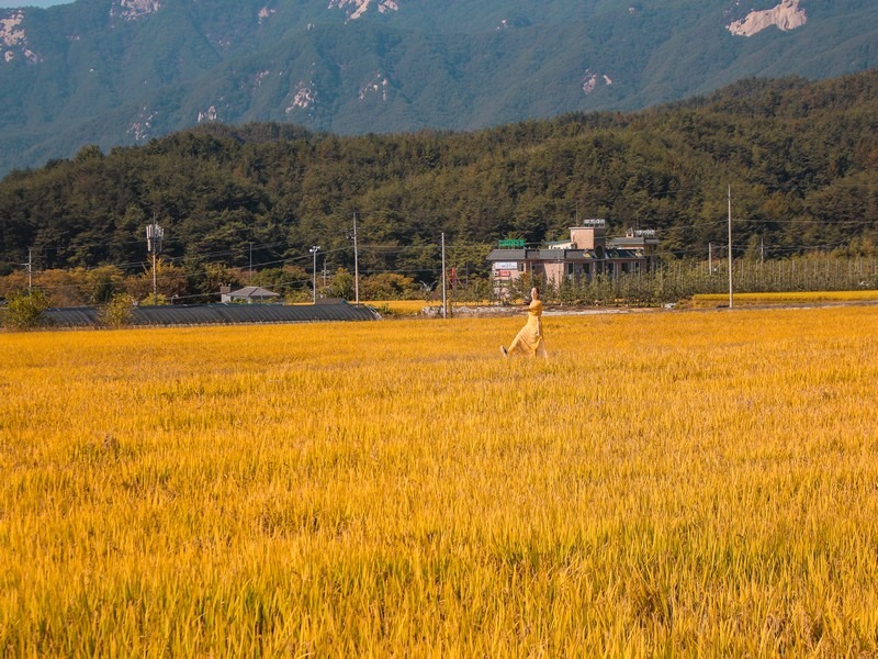 Hwangsan Hanok Village (황산전통한옥마을), Geochang, Gyeongsangnam-do, Korea