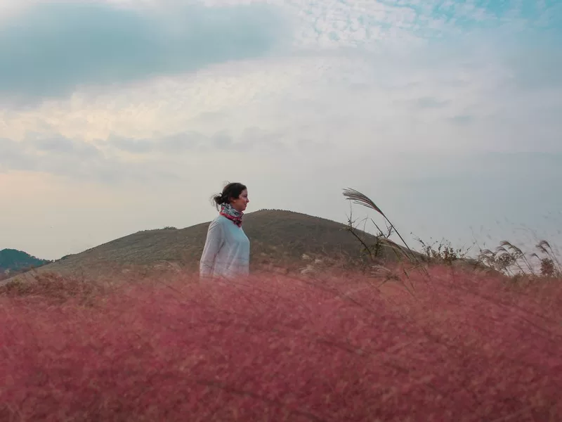 Cafe Sebil (카페새빌), Jeju Island, Korea; pink muhly