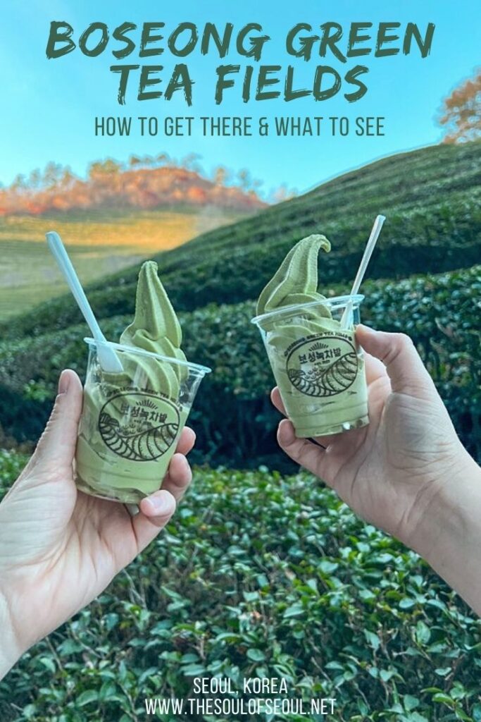 Boseong Green Tea Fields How To Get There & What To See: The Boseong Green Tea Fields are a must see in South Korea. Traipse along the mountainside of green tea and then eat green tea ice cream.