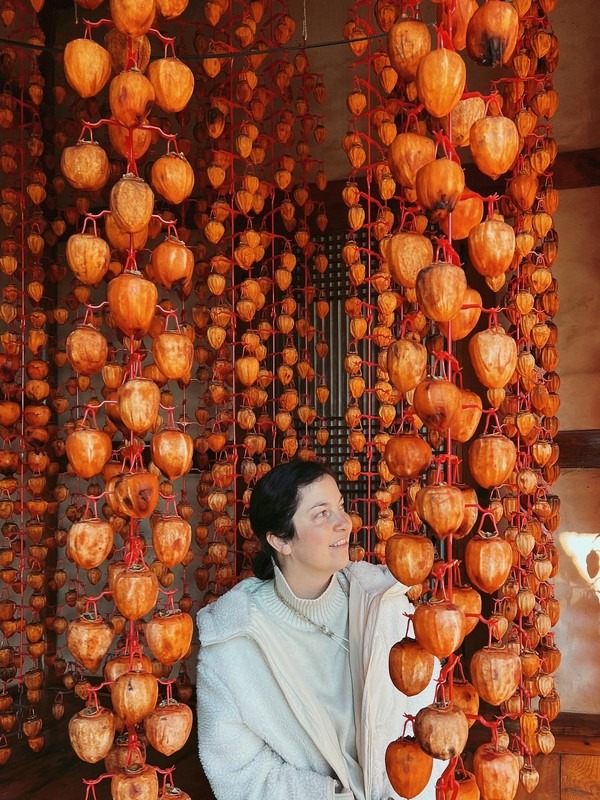 Naganeubseong Folk Village, Suncheon, Korea: Persimmons, Hallie Bradley