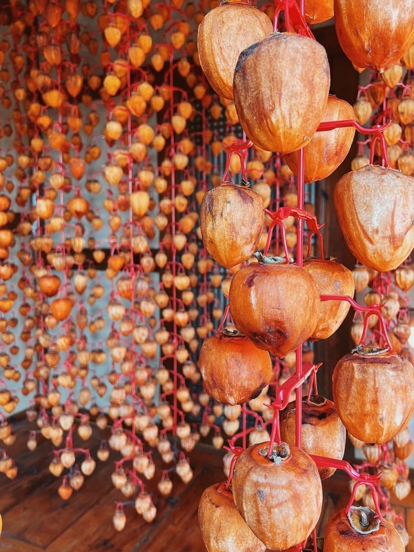 Naganeubseong Folk Village, Suncheon, Korea: Persimmons