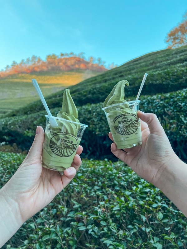 Green Tea Ice Cream, Boseong Green Tea Fields, Boseong, Jeollanam-do, Korea