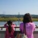 DMZ Gondola, Imjingak, Paju, Korea