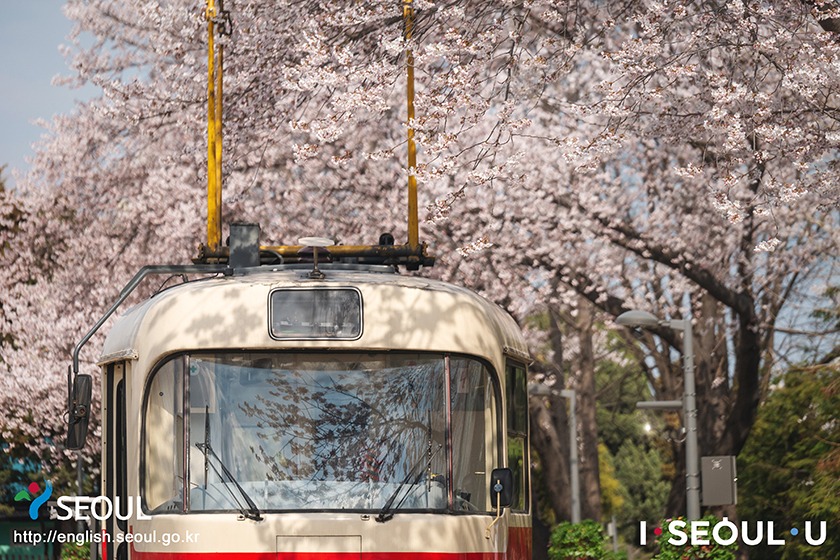 Gyeongchun Line (Railroad) Forest, Nowon-gu, Seoul, Korea